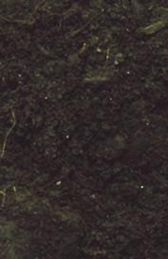 BIO-GROUND